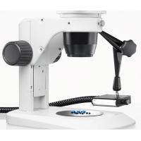 德國Schott AG KL 1500 HAL鹵素光源